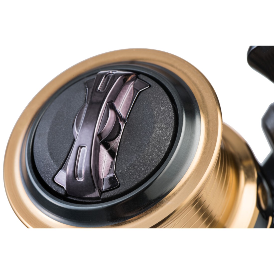 M-RAJA30-det3.93840825.1730899668-1100x1100w