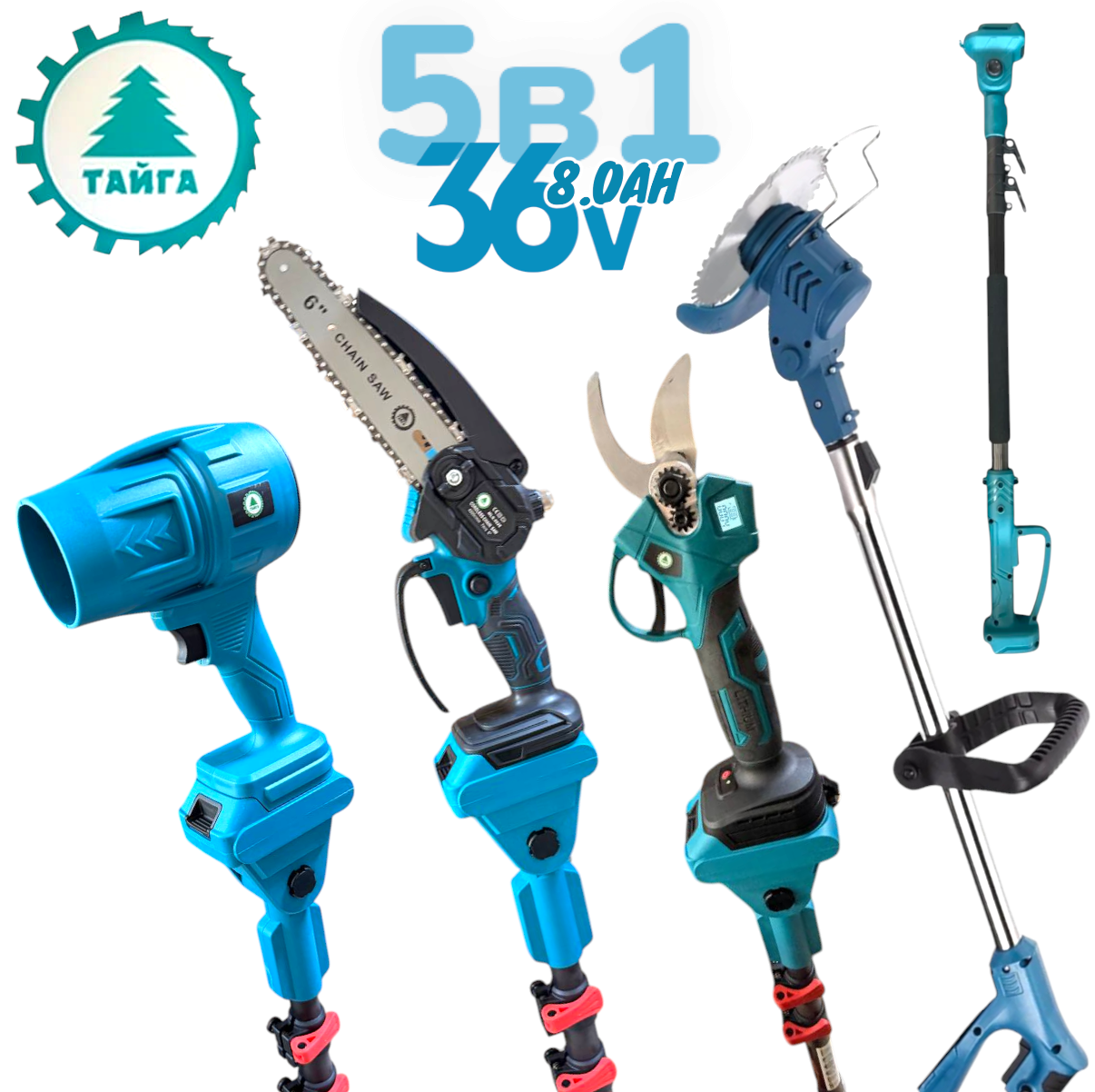 Photoroom-20260303_151756