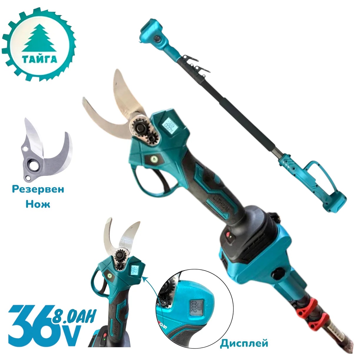 photoroom-20260303_152724_edit_1142602711455336