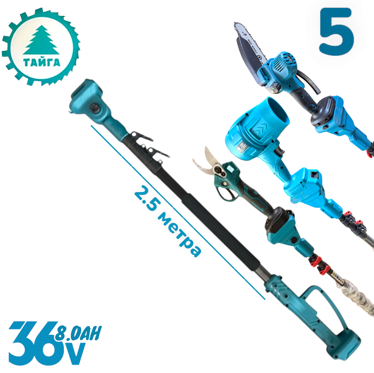 Photoroom-20260303_153452